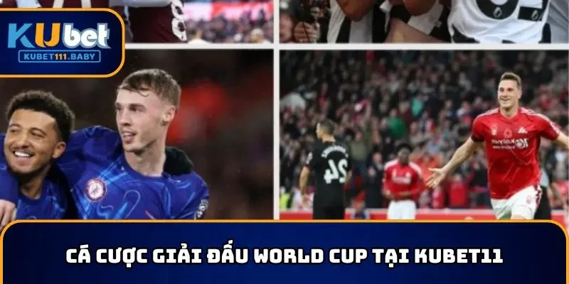 Các giải bóng đá nổi tiếng thế giới - World Cup