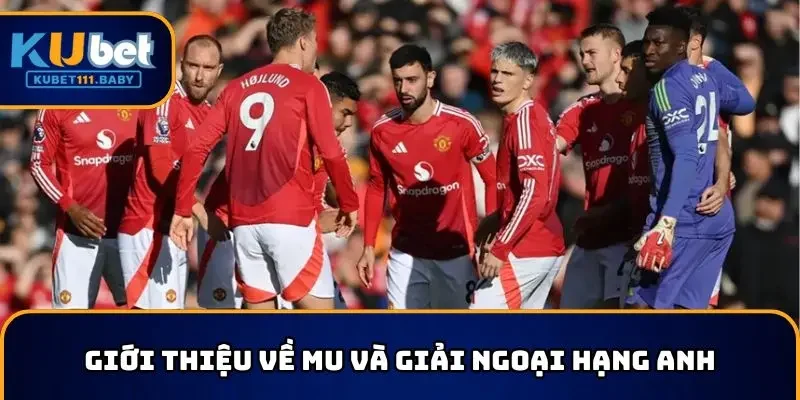 Giới thiệu MU vô địch Ngoại hạng Anh bao nhiêu lần