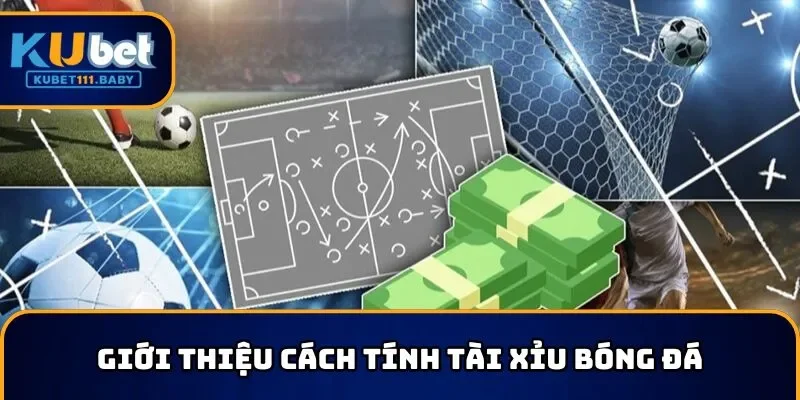 Giới thiệu sơ lược về cách tính tài xỉu bóng đá