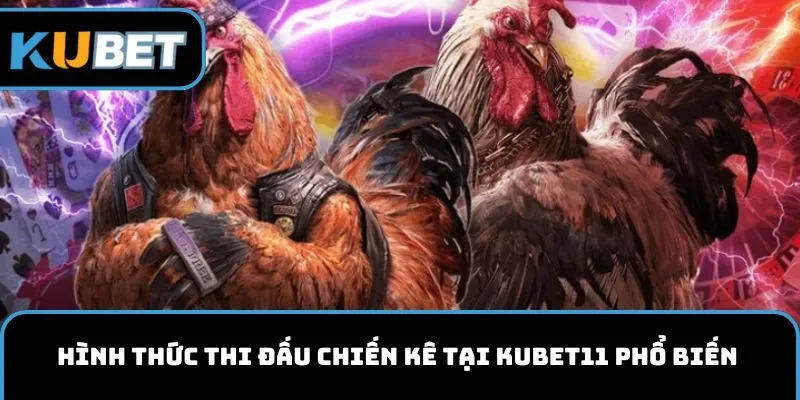 Hình thức thi đấu chiến kê tại KUBET11 phổ biến 
