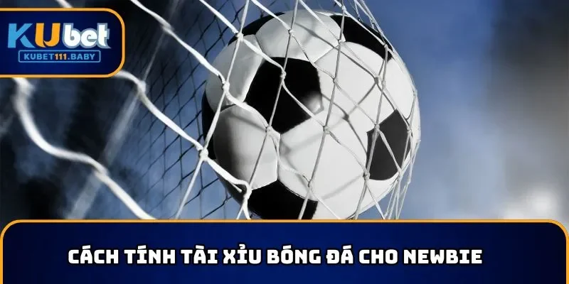 Hướng dẫn cách tính tài xỉu bóng đá với nhiều hình thức
