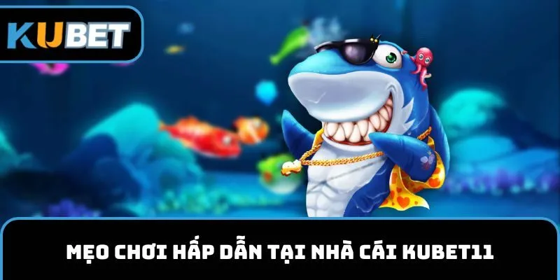Mẹo chơi hấp dẫn tại nhà cái KUBET11